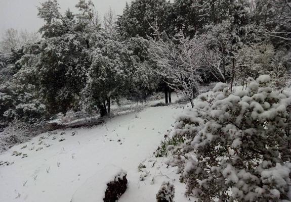 Así ha lucido la provincia helada