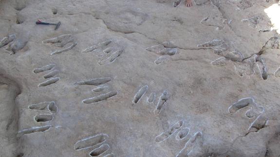 Un gran dinosaurio bípedo en Santisteban del Puerto