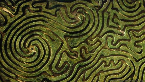 El mago del laberinto