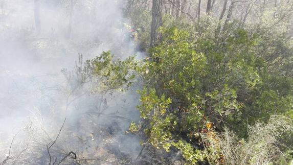 La orografía del terreno y la abundante vegetación complican la extinción del incendio de Siles