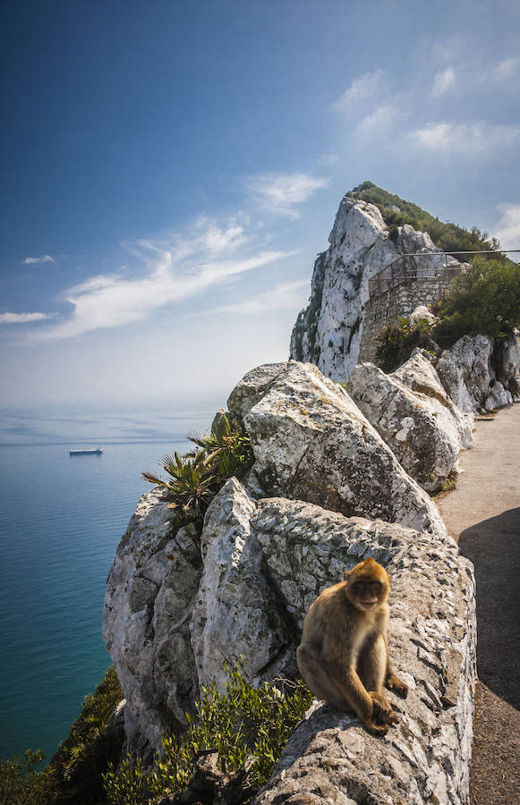 Una roca en el zapato