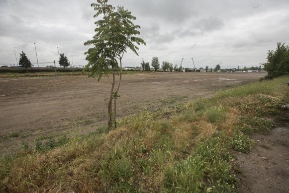 La Chana pide controles de ruido y medidas contra el botellón ante el festival del 3 de junio