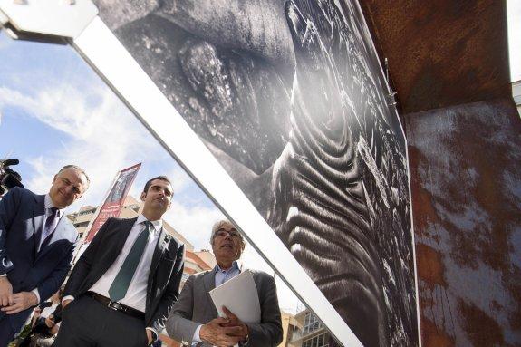 Un museo al aire libre con 'Génesis', las fotografías de Sebastiao Salgado
