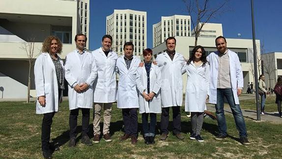 Demuestran en arterias de cerdo la eficacia de un nuevo material para la regeneración vascular