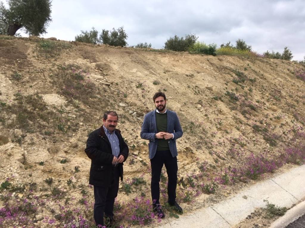 Diputación destina más de 76.000 euros a restaurar paisajísticamente la carretera entre Bedmar y Garcíez