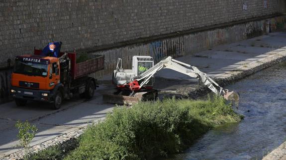 El Ayuntamiento exige a la CHG que ejecute el proyecto para limpiar el Genil