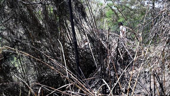 Los vecinos del Sacromonte vuelven a advertir del "peligro grave" de las cuevas 'okupadas'
