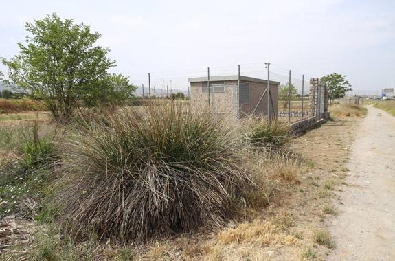 La sequía obliga a extraer agua de los pozos de emergencia desde el 1 de mayo para regar la Vega