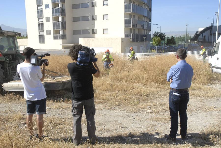 Granada intensifica el plan de desbroce de solares frente a posibles incendios