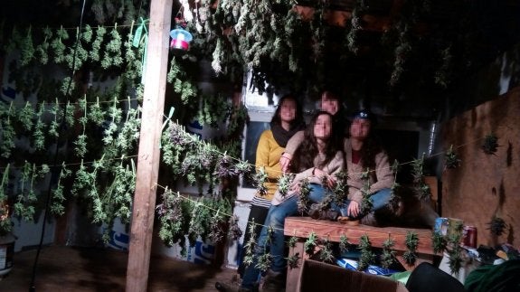 Jornaleros españoles al reclamo de la cosecha de marihuana