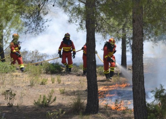 La Junta insta a estar alerta en materia de incendios ante un verano «difícil»